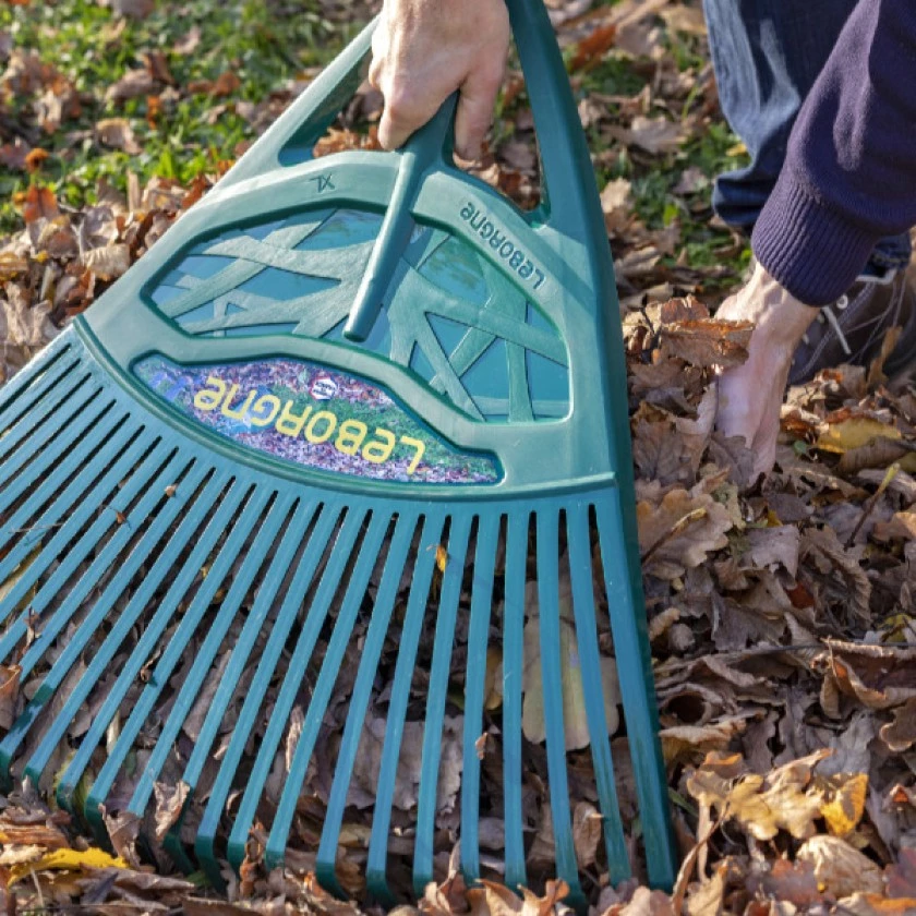 Nos Conseils pour l'entretien du Jardin en Hiver