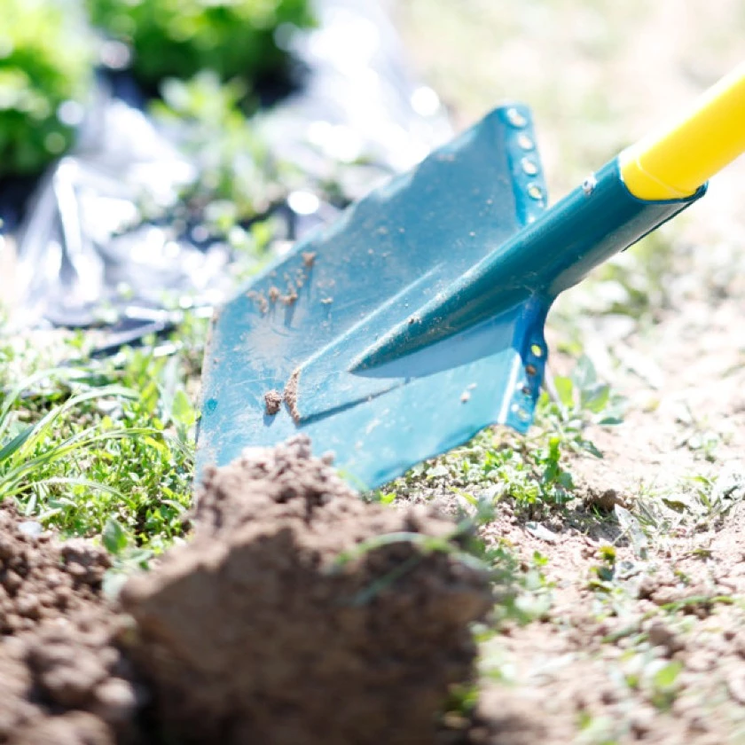 Nos Conseils pour l'entretien du Jardin en Hiver