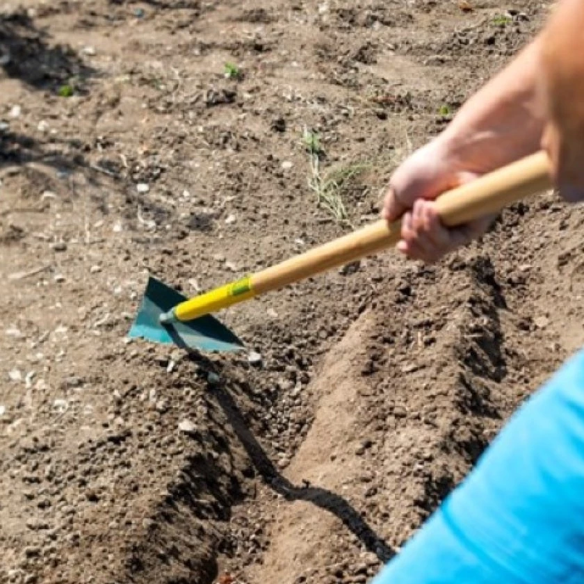 Nos Conseils pour l'entretien du Jardin en Hiver