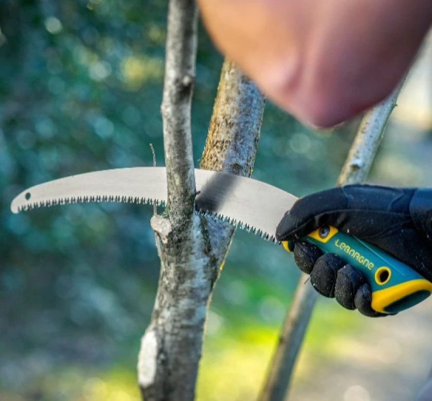 Nos Conseils pour l'entretien du Jardin en Hiver