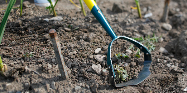 Comment bien utiliser un grattoir de jardin naturovert® ?