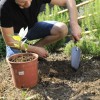 Transplantoir à dents manche bi-matière duopro